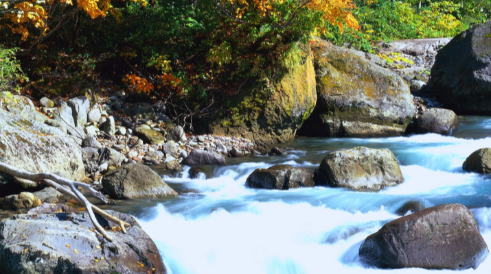 202504171744850178521545.png 微信圖片_20250417083247.png