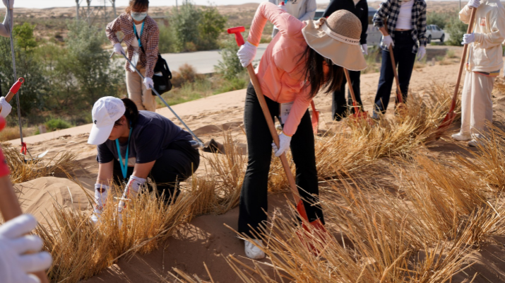 202505221747874548119004.png 圖片2.png