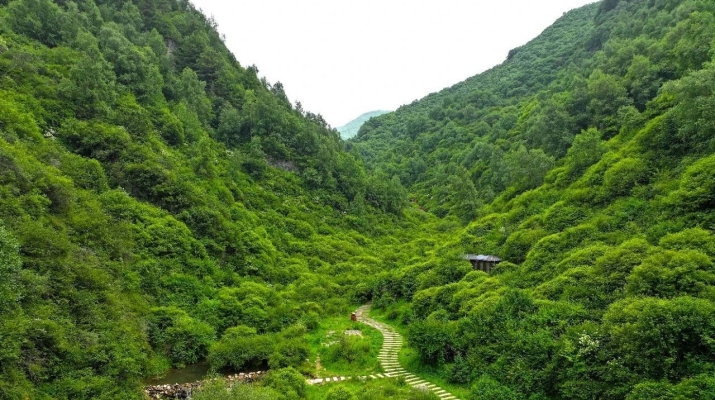 202507211753057679106998.jpg 微信圖片_2025-07-21_082644_714.jpg