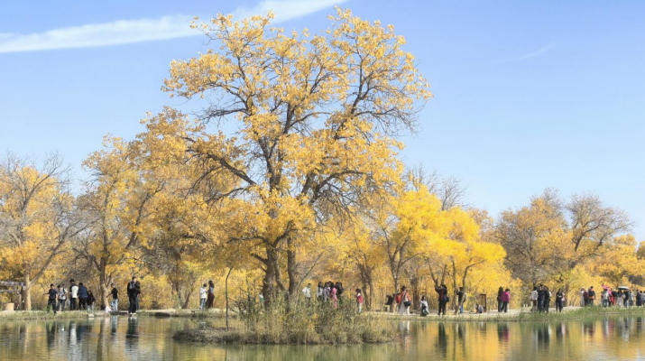 202510101760057136376097.png 圖片3.png